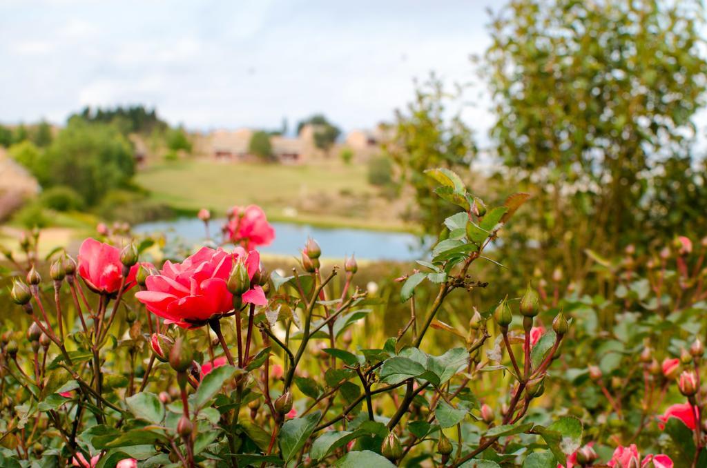 Gooderson Kloppenheim Country Estate Hotel Machadodorp Exterior photo